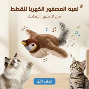 عصفور طائر للقطط والحيوانات الأليفة
