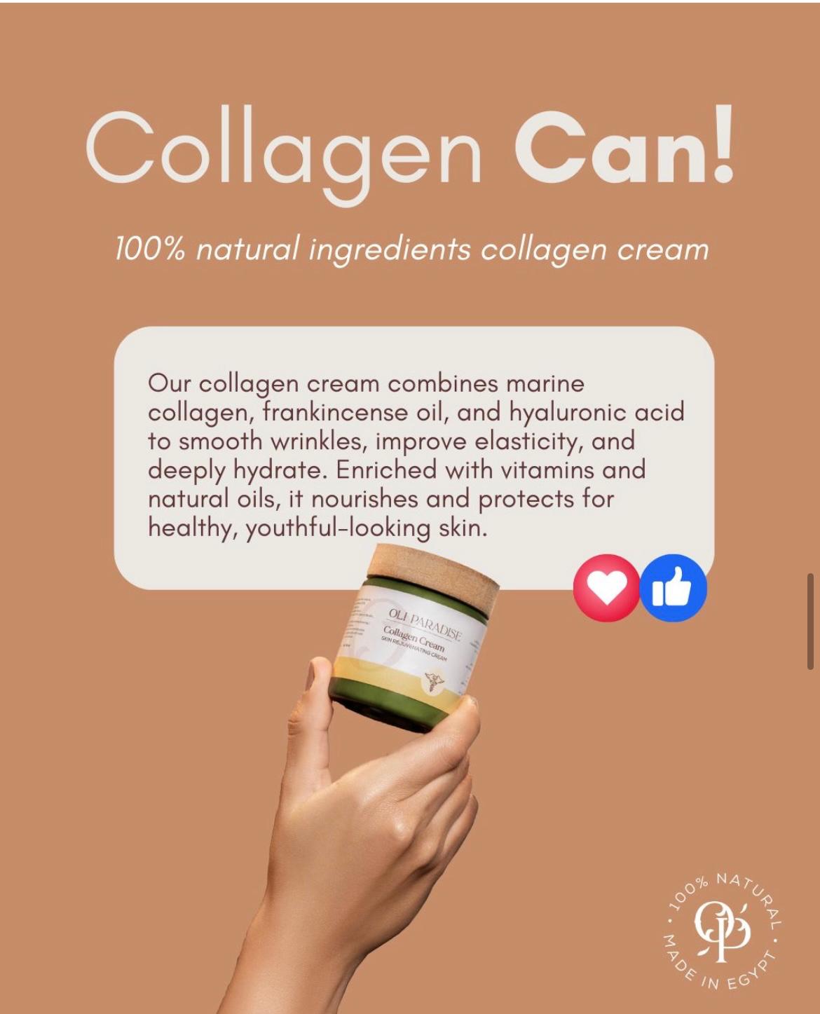 OLI PARADISE COLLAGEN CREAM 60ML for skin - الصورة 4
