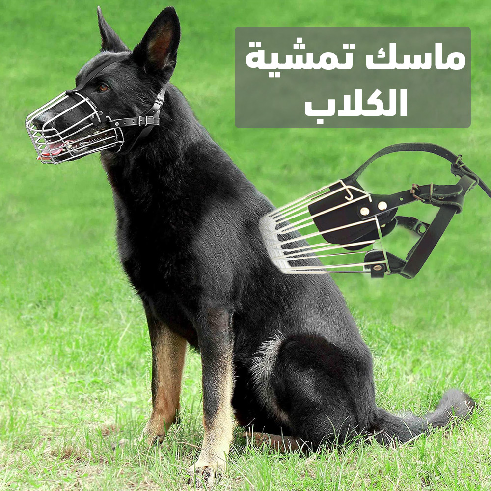 ماسك تمشية الكلاب - الصورة 7